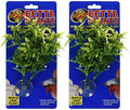 Zoo Med Laboratories Betta Plant Maple Leaf (2 Plants)