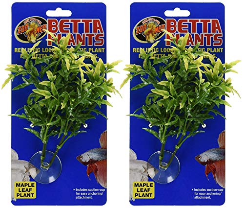Zoo Med Laboratories Betta Plant Maple Leaf (2 Plants)