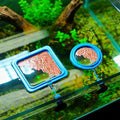 Betta Fish Feeding Ring: 2-Pack Floating Food Holder with Suction Cup - Prevents Food from Entering The Filter - Aquarium Accessories for Betta Goldfish Guppy Turtle