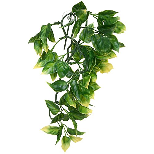 Exo Terra Plastic Terrarium Plant, Small, Amapallo - color: Multi Color, size: Small
