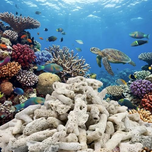 Premium Aquarium Crushed Coral Filter Media Set, 2.2lb Bio Filter Bags with Artificial Plants, pH Balancing for Freshwater Aquarium