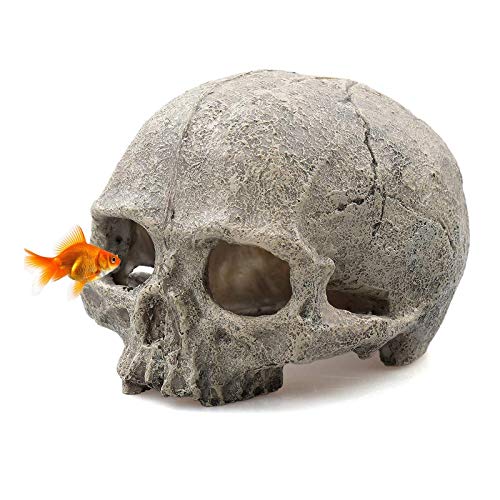 Tfwadmx Aquarium Skull Decor, Resin Fish Tank Decorations Aquarium Shrimp Cave Betta Fish Hiedout Reptile House for Small Fish,Shrimp