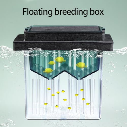 Floating Breeding Box for Aquarium Clear Design Safe Hatchery Container for Shrimp Fish Fry Secure Habitats Aquarium Accessory
