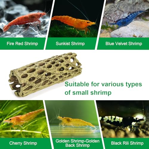 Hiceeden 2 Pcs Resin Cholla Wood for Aquarium, 6" Shrimp Hideout Driftwood Decor, Shrimp Cave Tank Accessories, Climbing & Chew Toy for Aquatic Habitat, Hermit Crabs, Fish, Snail, Reptiles