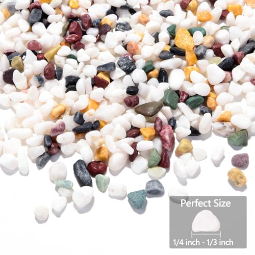 Boniosz 2LB Succulent and Cactus Gravel Pebbles, 1/4 Inch - 1/3 Inch Natural Decorative Polished Stones, River Rocks for Plants, Aquariums, Vases, Terrarium and Outdoor Gardening, 5 Mixed Colors - color: 5 Mixed Colors, size: 2lb