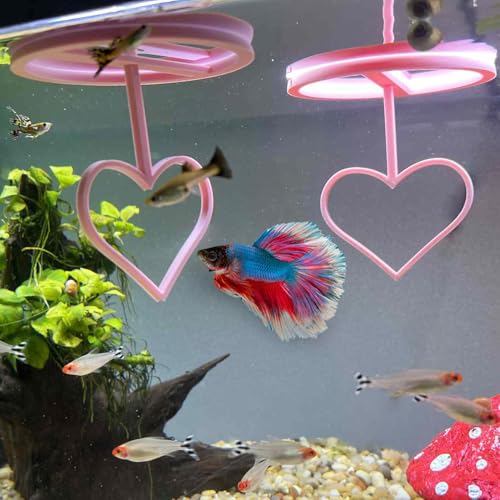 Floating Heart Betta Training Ring, Heart Active Betta Training Ring, Floating Feeder, Enrichment Toys for Aquarium Decor, Pink, 3.8in x 3.7in (Pink, Pack of 2) - color: Pink, size: Pack of 2