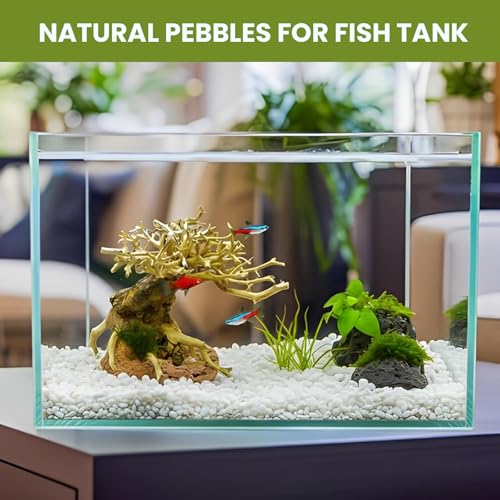 3/8 Inch Polished Decorative Pebbles, River Rocks for Indoor Plants, Succulents, Planters, Vases, Fish Tank, Aquarium Gravel & Landscaping, Snow White, 3LB - color: White, size: 3LB