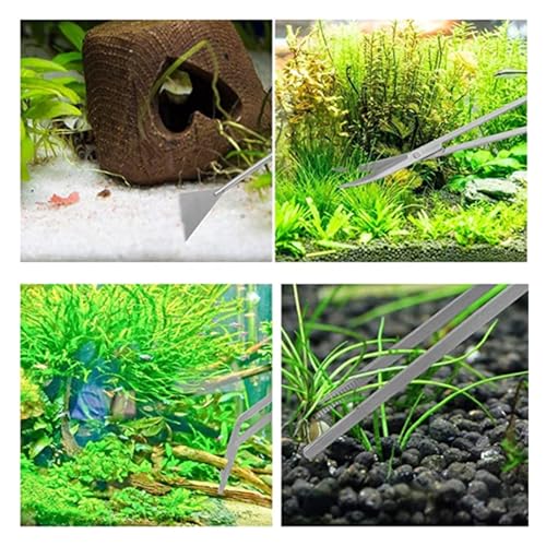 Aquarium Scissor Tweezers Tool Stainless Steel Aquatic Plants Set For Aquarium Maintenance(Straight Tweezers) - color: Straight Tweezers