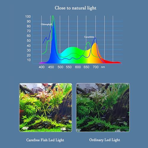Carefree Fish Aquarium LED Light USB 5V1A RGBW 5730 Timmer 1~10Gal Fish Tank Clip Light 10 Brightness Levels 8W with USB Port (Include UL Certification Power Adapter)
