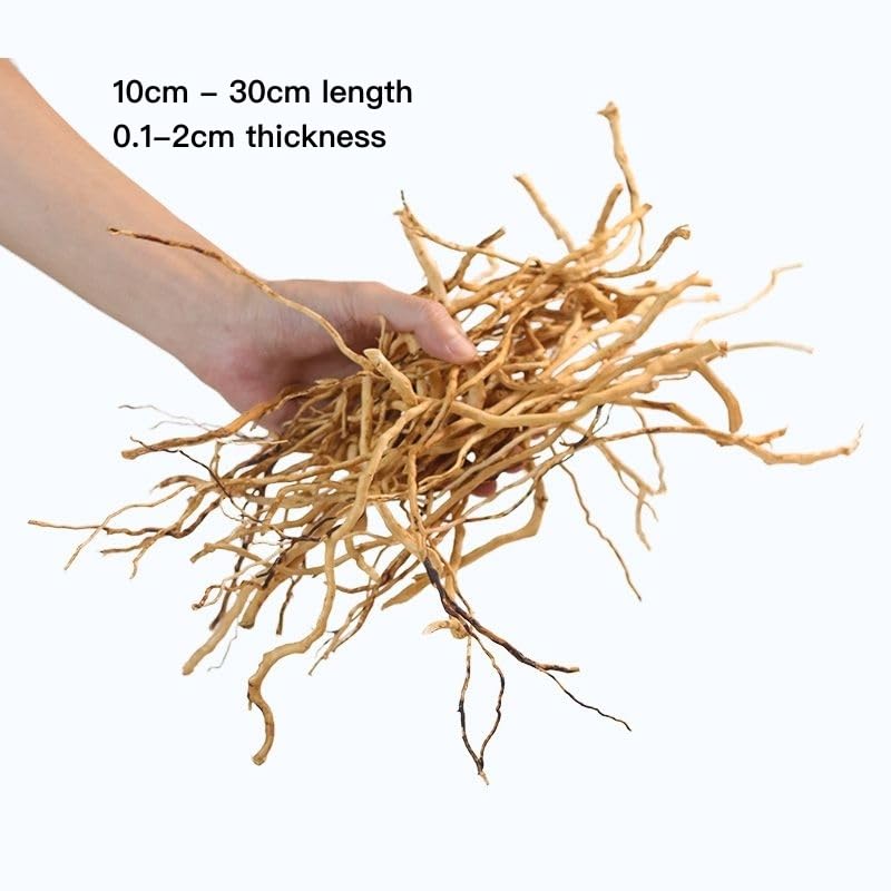 AWXZOM Aquarium Driftwood Roots for aquascaping - 160g Mix Natural Wood Roots for Aquarium aquascaping, aquascaper Essentials Driftwood Roots