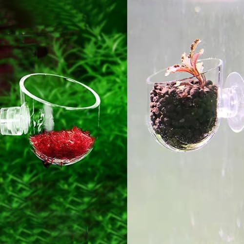 10 Pcs Aquarium Plant Holder, Clear Fish Tank Plant Holder for Aquascape Decoration, Red Worm Feeder, Aquarium Planter Pot with Suction Cup, Betta Fish Tank Accessories Aquariums Decor - size: L