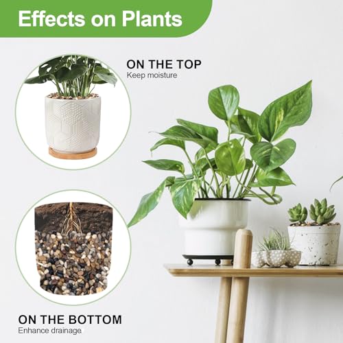 Pulovin 5 lbs Pebbles for Indoor Plants, Succulent, Bamboo, Vase, 3/8" Plant Rocks for Pots Indoor, Small River Rocks Decorative Pea Gravel, Highly Polished - color: Mixed Color