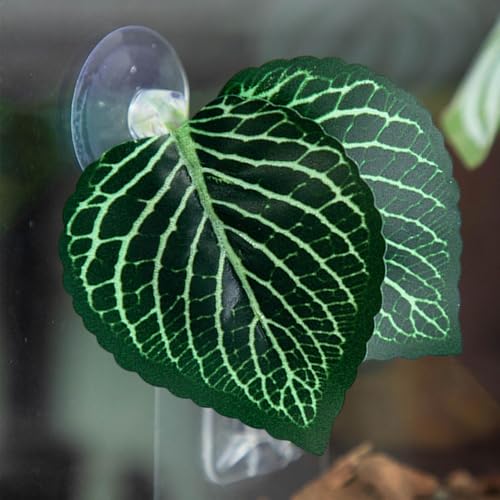 Betta Fish Bed - Betta Fish Leaf Hammock | Betta Resting | Comfortable Rest Area for Fish | Betta Hammock Plant Leaves | Breathing Breeding Pads Improve Betta's Health by The Natural Habitat