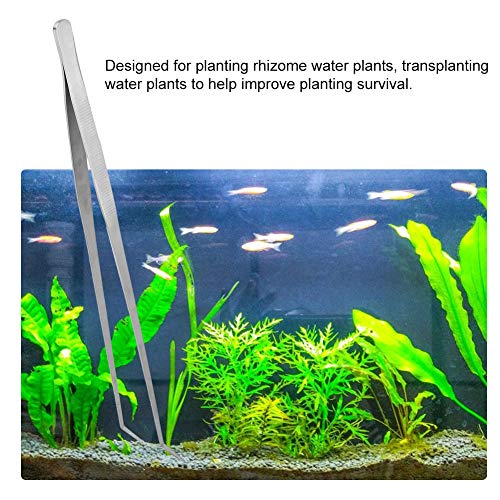 Fish Tank Water Plant Tweezers, Stainless Steel Elbow Curved Tool, 18.5 Inch - Durable Rust, Easy Aquarium Planting, Ideal for Aquascaping and Maintenance