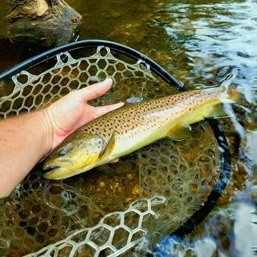 Aventik Fly Floating Fishing Net Carbon Fiber Landing Trout Net Light Weight Clear Rubber Ghost Net Catch & Release - color: ONLY Long Handle Green Net