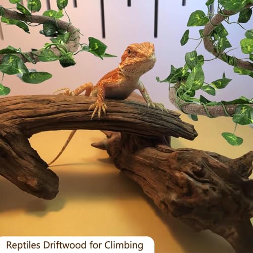Hamiledyi Reptile Driftwood Branch Decor Terrarium Ornament Wood Climbing Natural Aquarium Driftwood Decoration for Snake Bearded Dragon Leapord Gecko Lizard Iguana
