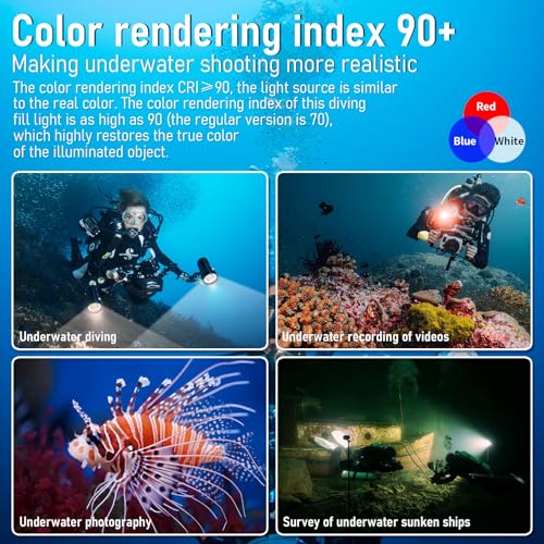 B15 Dive Light Underwater Flashlight 8000Lumens Underwater Video Lights 80m Scuba Dive Light Diving Flashlight for Under Water Sports,Underwater Video Shooting and Photography - color: Sealion B15
