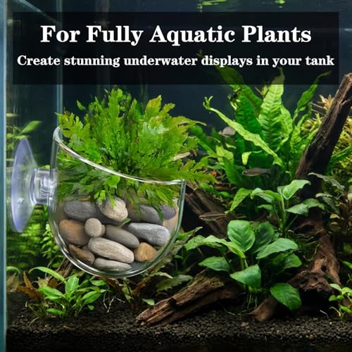 2 Pcs Aquarium Plant Holder, Live Aquarium Plants Holder with Suction Cup, Plastic Fish Tank Plant Pots, Clear Red Worm Fish Feeder for Aquascape Decoration