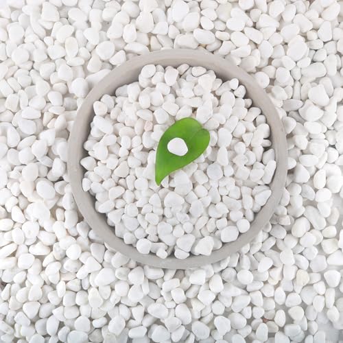 Mulctun 12Lb White Rocks for Plants, 1/4"-3/4" White Pebbles, Decorative Stones for Vases, Small Aquarium Gravel for Fish Tank Garden Rocks for Potted Plants & Home Decor - size: 12 LB
