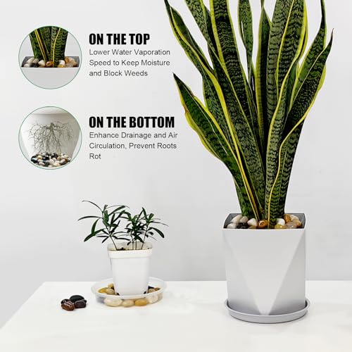 Rocks for Plants 5 Lbs, 0.8-1.5 Inch High Polished Pebbels, Decorative Stones for Garden Landscaping, Smooth Gravel Filler for Outdoor Plants, Succulents, Fish Tank and Vases - color: colored