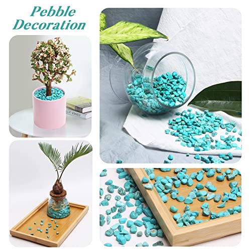 QICQDRAM Howlite Turquoise Small Tumbled Chips 0.9 Lb/405g Crystal Stone Decorative Pebbles for Home Decoration & Fish Turtle Tank, Vase Filler, Plants Decor - color: Turquoise