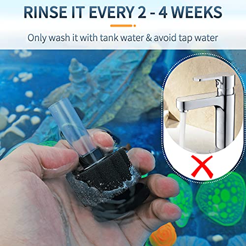 Pawfly Aquarium Sponge Filter, Mini Sponge Filter Kit with Airline Tubing and Control Valve for Small Fish Tank up to 3 Gallon