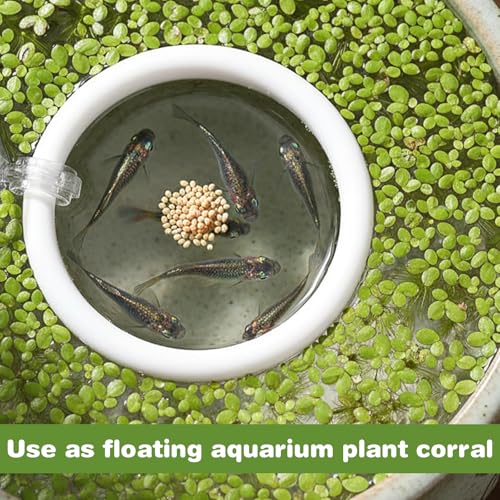 Molain Betta Fish Enrichment Toys, Betta Fish Tank Accessories 2 Training Rings 1 Mirror with Floating Ball Plastic Aquarium Enrichment Toys Set for Fishes Exercise Mental Stimulation