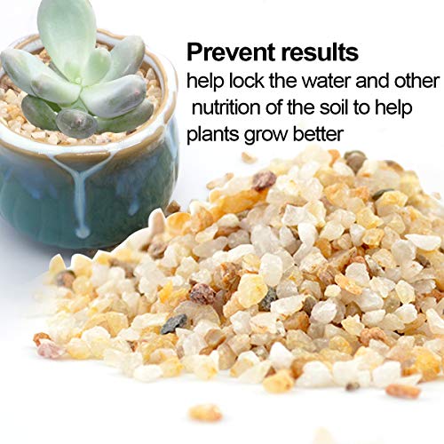TOYPOPOR Coarse Silica Sand 2.2lb for Bonsai Cacti Succulent and Carnivorous Plant Mix - color: Gold Sand Rock, size: 2.2 lb