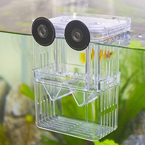 Senzeal Aquarium Fish Breeder Box Plastic Fish Isolation Breeding Box Hatching Incubator Box for Baby Fishes Shrimp Clownfish Guppy - size: Medium