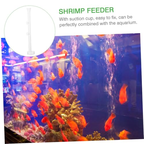 DOITOOL Shrimp Feeder Tube with Feeding Dish, Crystal Glass Aquarium Feeder, 30cm Fish Tank Accessory for Aquarium Shrimp Feeding
