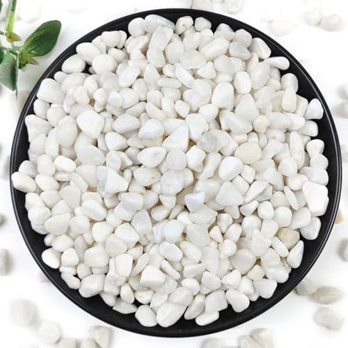 YISZM 2LB Succulent and Cactus Gravel Pebbles, 3/8 Inch Natural Decorative Polished Stones, River Rocks for Plants, Vases, Aquariums, Terrarium and Outdoor Gardening, White - color: White, size: 2 Pounds
