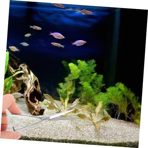 Stainless Steel Aquarium Scissor Plant Scissors for Floating Plants Easy Cleaning Tool for Fish Tanks