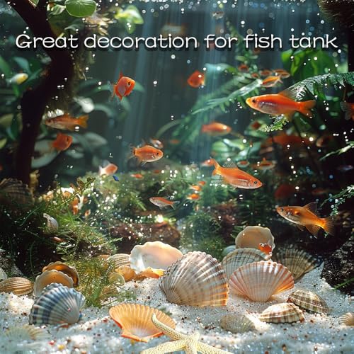 Natural Sea Shells Mixed -15 Kinds of Natural Seashells,Each 2 Kinds Starfish & Urchins for Aquarium Fish Tank,DIY Arts Crafts Project,Beach Theme Home Wedding Party Decor,Vase Fillers,1~3.5" - color: Mixed Color