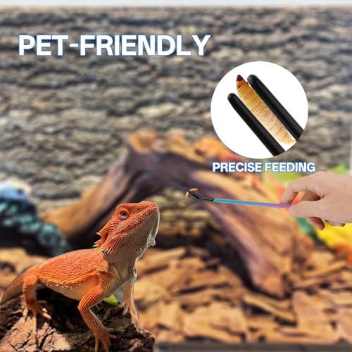 10.6" Colorful Reptile Feeding Tweezers Set with Spoon(3 Pack) | Terrarium & Aquarium Essential Feeding Tools,Appropriate Length,Stainless Steel,Straight & Curved,Soft Rubber Tips