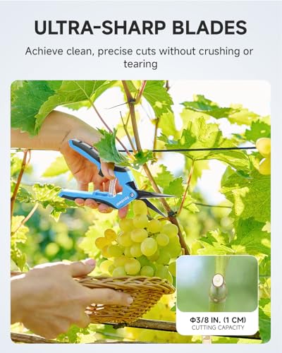Fondwell 6.5" Trimming Scissors Garden Snips: Small Pruning Shears with Non-Stick Sharp Blade - Ideal for Precise Cutting and Shaping - style: Pruning Snips (Straight Blades)