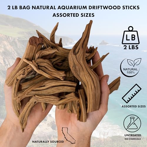 Koyal Wholesale Natural Driftwood Decor Vase Fillers 2.2-Pounds, Aquarium Wood Untreated California Manzanita Drift Wood Fish Tank Decor, Driftwood Pieces for Crafts, Assorted Reptile Wood Branches - size: 2.2LB