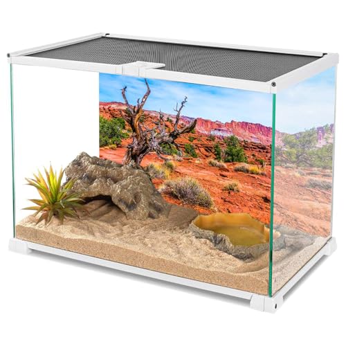 AWERT 30x12 inches Reptile Habitat Background Blue Sky Oasis Orange Desert Terrarium Background - size: 30x12in/75x30cm