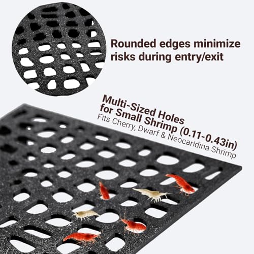 2-Pack Black Shrimp Hides for Aquarium - Stealth Cave with Multi-Sized Holes, 180° Viewing & Stable Hides for Cherry/Dwarf Shrimp - color: Black