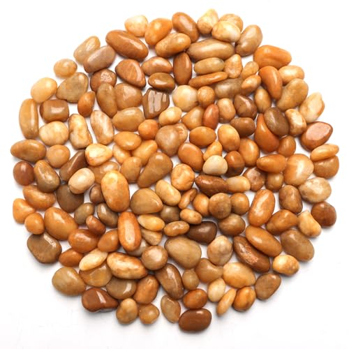 5 Lbs River Rocks for Plants,0.8-1.5 Inch Decorative Ornamental Pebbels, High Polished Stones for Garden Landscaping, Smooth Gravel Filler, Succulents, Fish Tank, Yellow - color: yellow or white