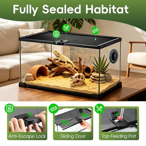 10 Gallon Reptile Terrarium Glass Kit 20" x 12" x 10" Starter Habitat for Tarantula, Succulents, Frogs, Gecko, Snake or Hermit Crabs, Tank with Escape-Proof Locking Lid - size: 10 gallon