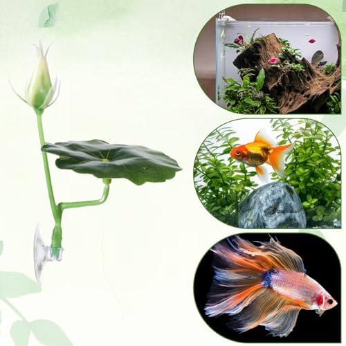 QfwdfcTrenz 3 Pcs Betta Fish Bed Betta Leaf Hammock Suction Cup Tank Decor Fish Toys Leaf Pad Leaves Tank Accessories Simulates Natural Habitat Comfortable Rest Area