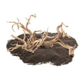 SubstrateSource Natural Aquarium Driftwood for Fish Tanks, Terrarium, Reptile Habitats, Freshwater Aquatic Decor - Small to Large Pieces (Ghost Wood (Large) 18-26", 1 Piece) - size: 1 Piece