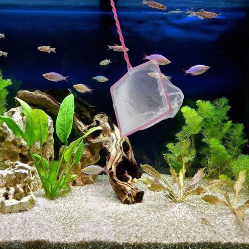 5pcs Small Aquarium Fish Net Set 5-inch Handheld Fine Mesh Fish Tank Nets and Aquascaping Tools