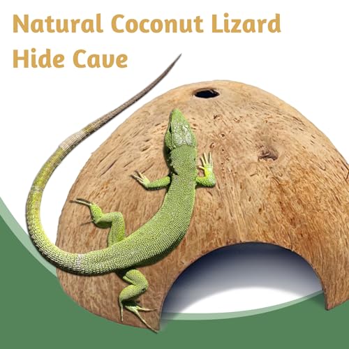 4 PCS Natural Coconut Reptile Hideouts Lizard Coco Hut Hermit Crab Hut Aquarium Fish Hide Cave Spider Snail Climber Toys - size: 4 PCS Smooth Surface