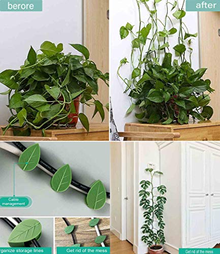 80PCS Plant Climbing Wall Fixture Clips-Plant Clips-Pothos Clips-Vine plant wall clips- Self-Adhesive Plant Fixing Hook for Plant Garden Wall Clip,Sticky Plant Fixing Clip for Decoration - size: leaf
