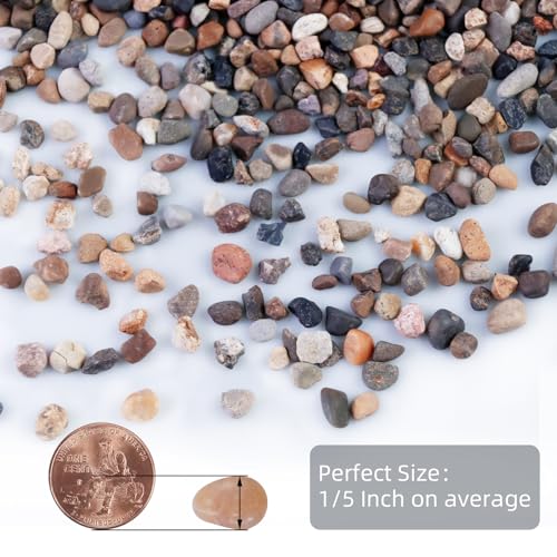 5lb Mixed Color Silica Gravel Pebbles, 1/5 inch Decorative Stones for Succulents, Pebbles for Vases,Plants Rocks, Aquarium Sand, Top Dressing, Outdoor Decorative Rocks - color: Natural Colorful, size: 5LB