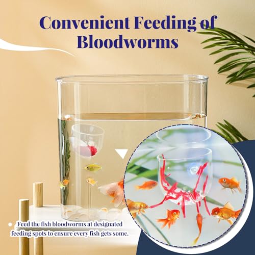 5 Pieces Clear Aquarium Plant Holder with Suction Cup, Acrylic Aquatic Fish Tank Plant Holder Pot, Transparent Hanging Aquarium Planter Cup Fish Shrimp Feeder for Aquascape Decoration