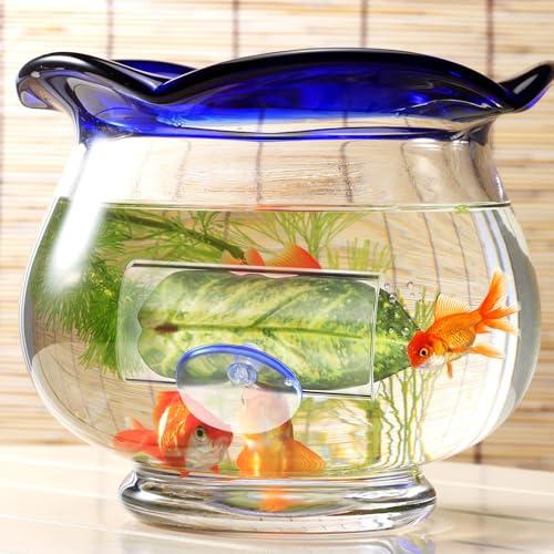 Veemoon 2 Pcs Acrylic Betta Fish Tube Tunnel with Suction Cups Transparent Betta Hideout and Resting Leaf Aquarium Decoration 3.14 X 1.57 Inch Fish Tank Accessory for Home and Office