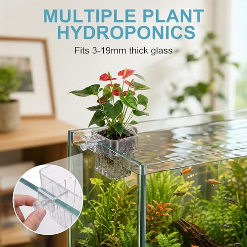 12 Pack Clear Aquarium Plant Holder Top Hanging for Fish Tank, Aquariums Planter Basket Pots for Aquatic Plants