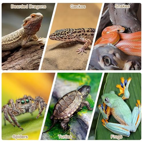 Fhiny 10 PCS Cork Bark Background, 11.6" x 7.7" Natural Cork Bark for Reptiles Bearded Dragon Climbing Backdrop Terrarium Habitat Wall Decor Accessories for Turtle Gecko Lizard Snake Spider Frog